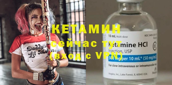 шишки Арсеньев