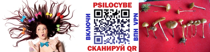 Псилоцибиновые грибы мицелий  Купить  Сосновоборск 