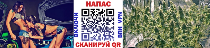 Купить где  Сосновоборск  Бошки Шишки OG Kush 